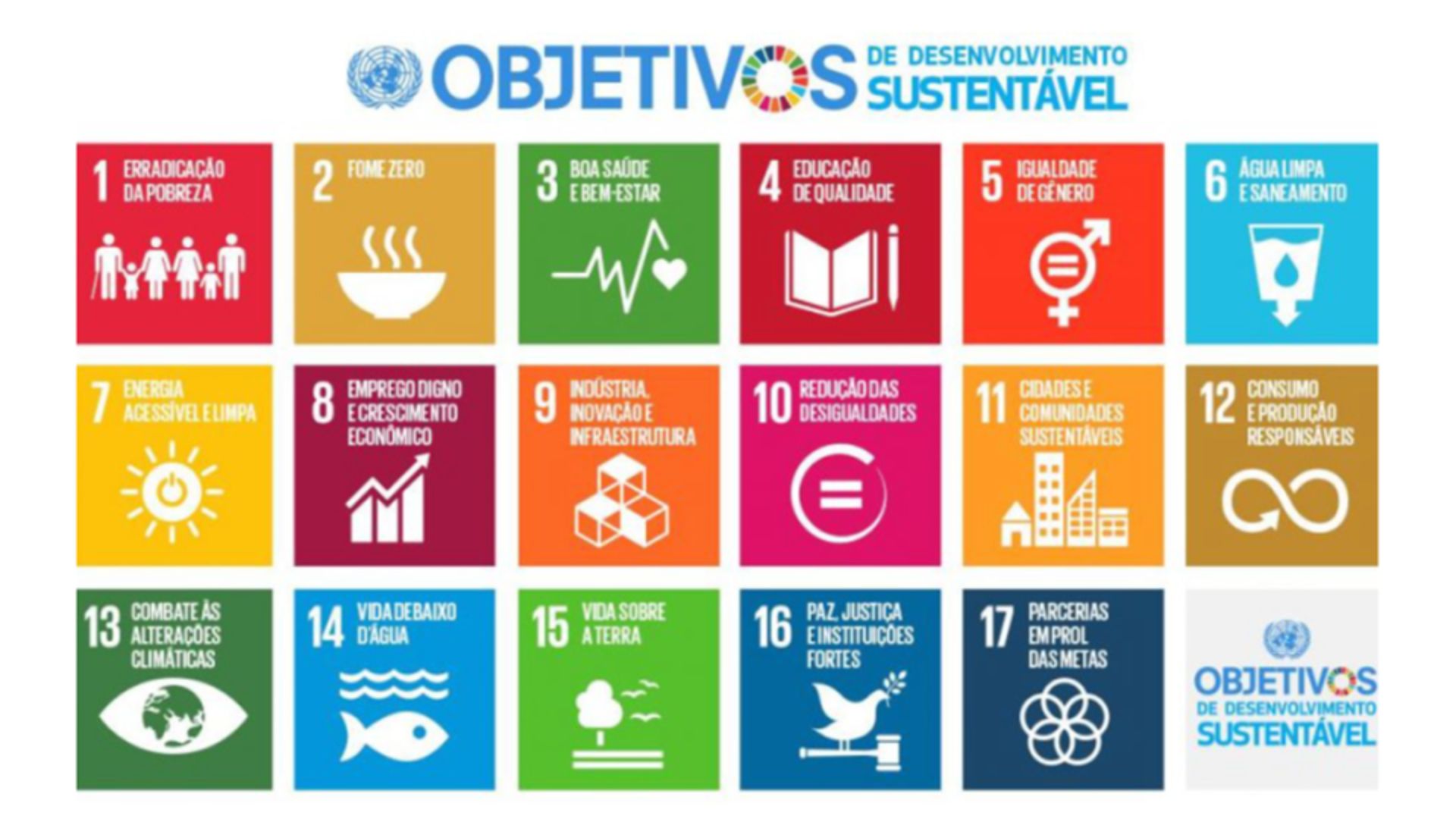 Objetivos de Desenvolvimento Sustentável (ODS-ONU) e a construção do mundo de regeneração