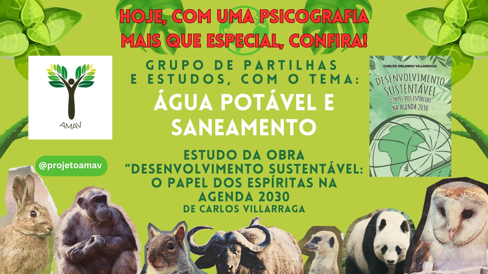 Água potável e saneamento