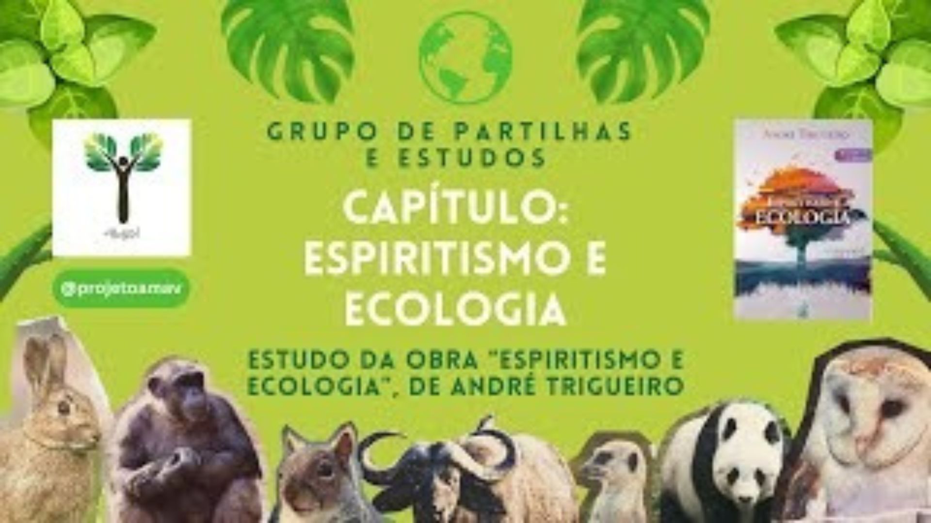 Espiritismo e Ecologia