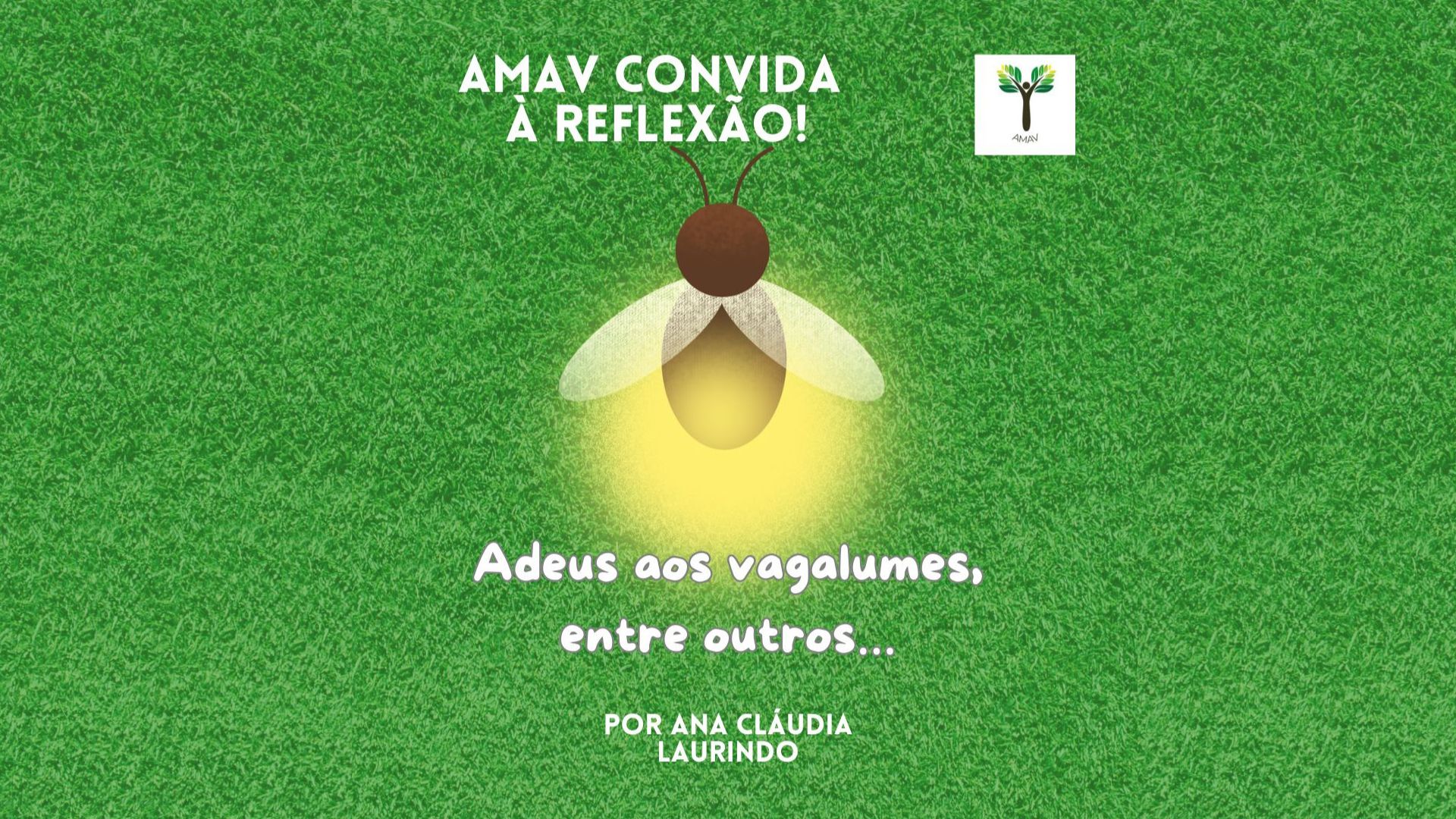 Adeus aos vagalumes, entre outros...