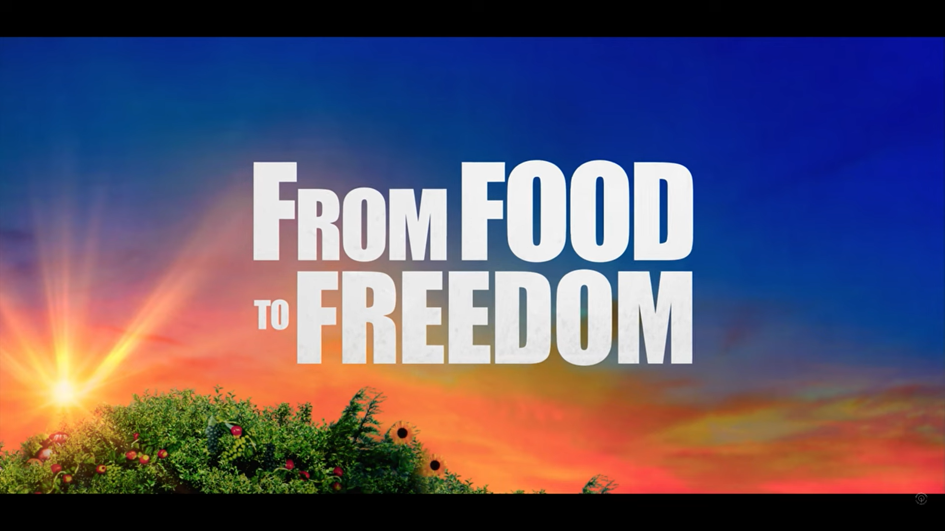 Da comida à liberdade