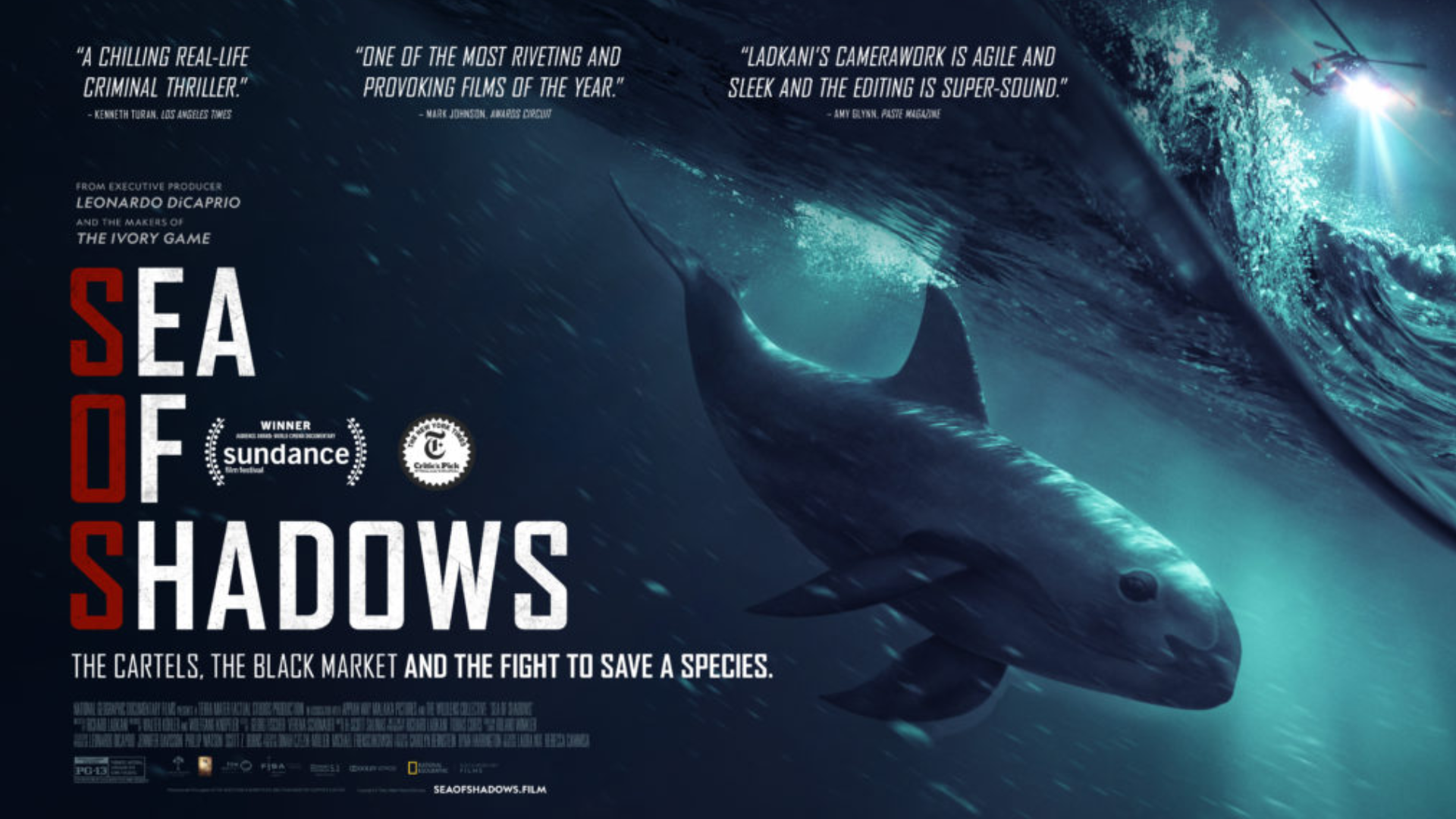 Sea of Shadows