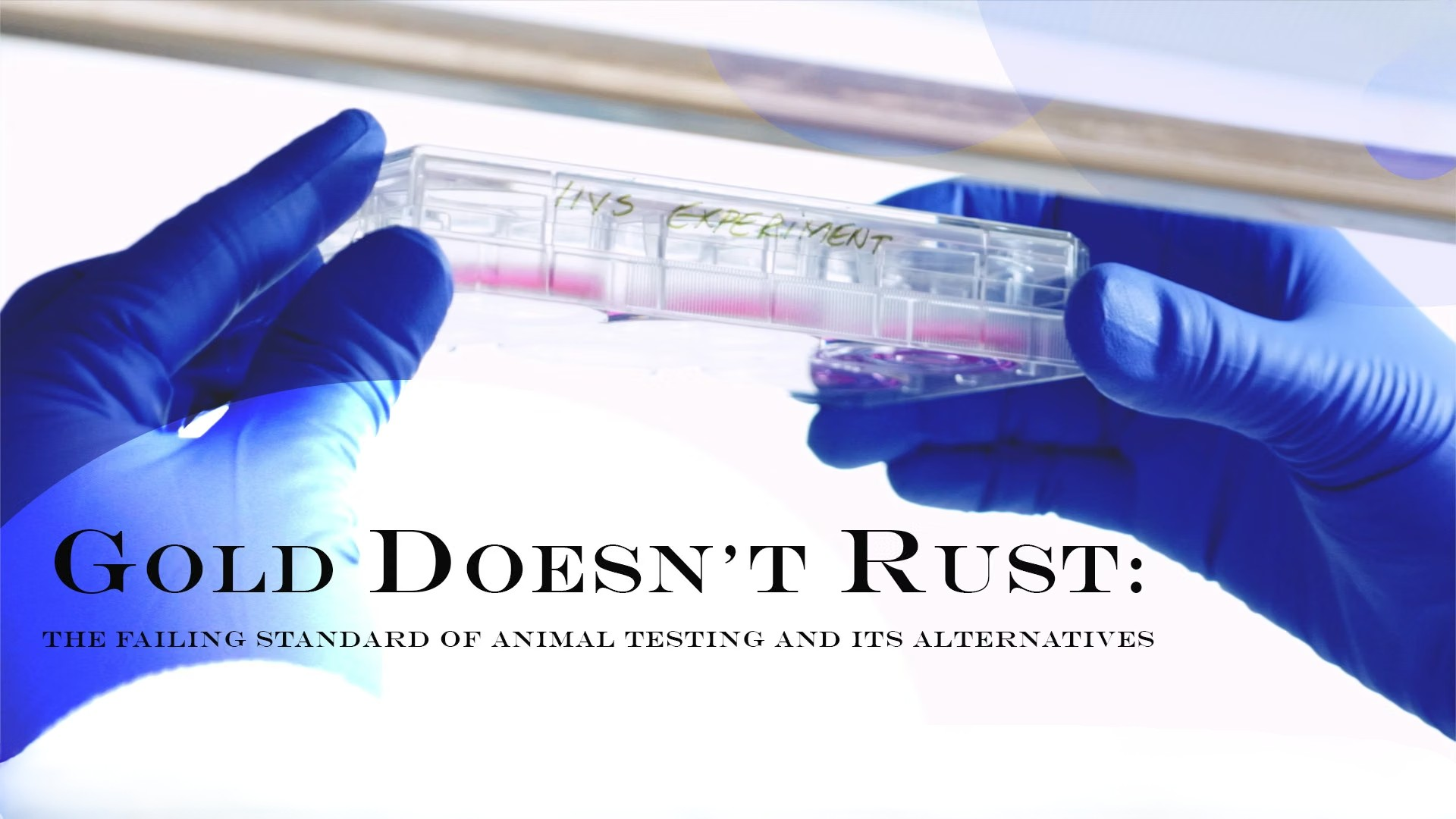 Gold Doesn’t Rust: The Failing Standard of Animal Testing and it’s Alternatives