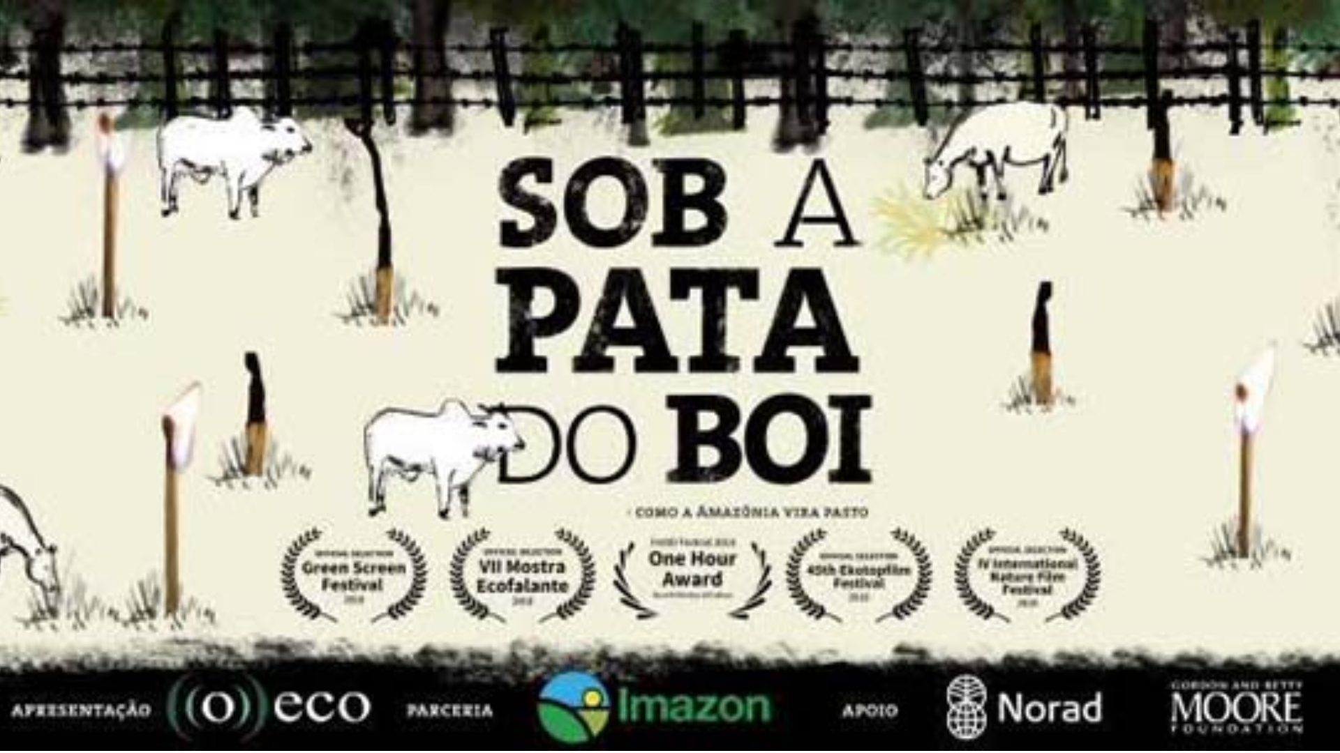 Sob a Pata do Boi