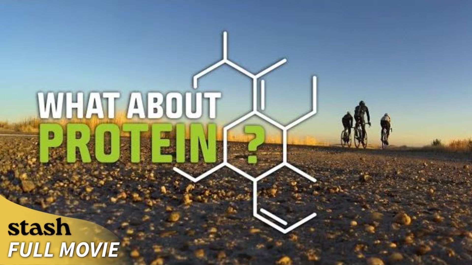 What about Protein? | Health Documentary