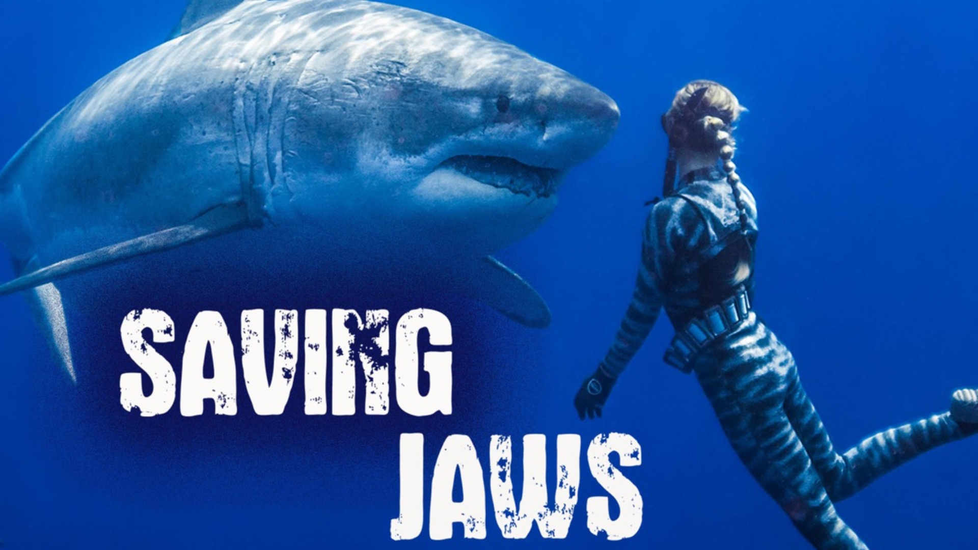 Saving Jaws