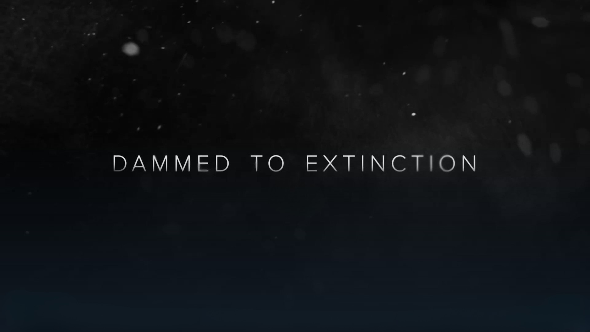 Dammed To Extinction