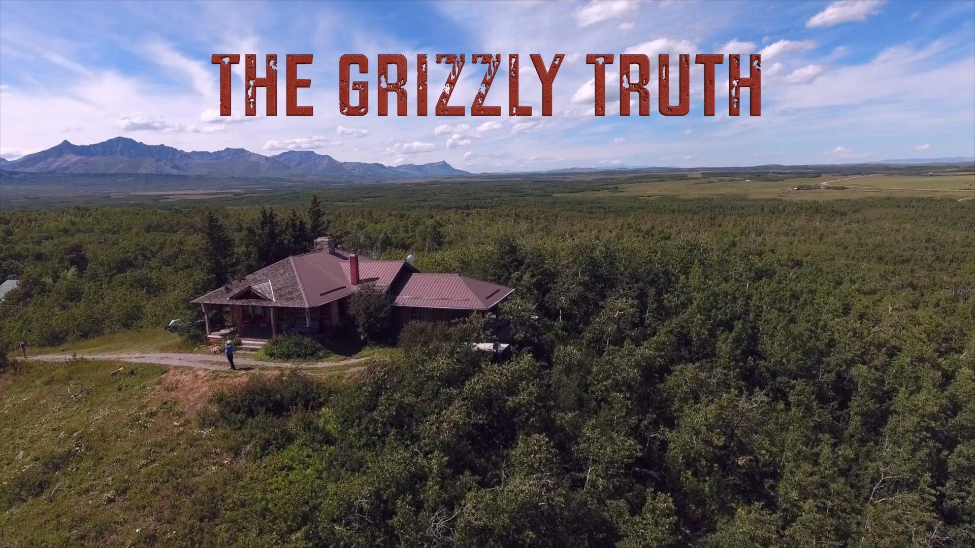 The Grizzly Truth