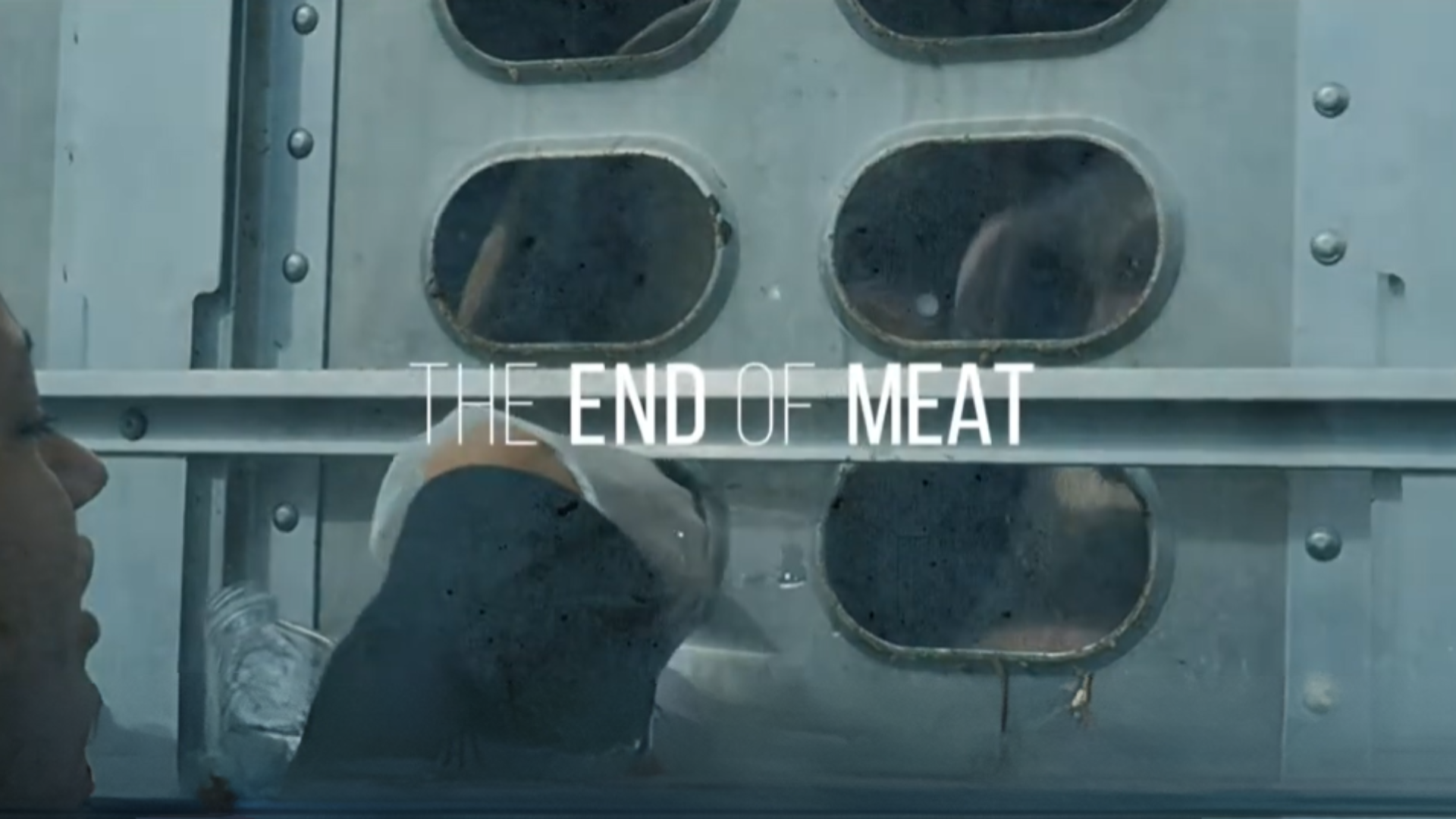 O fim da carne – 2017