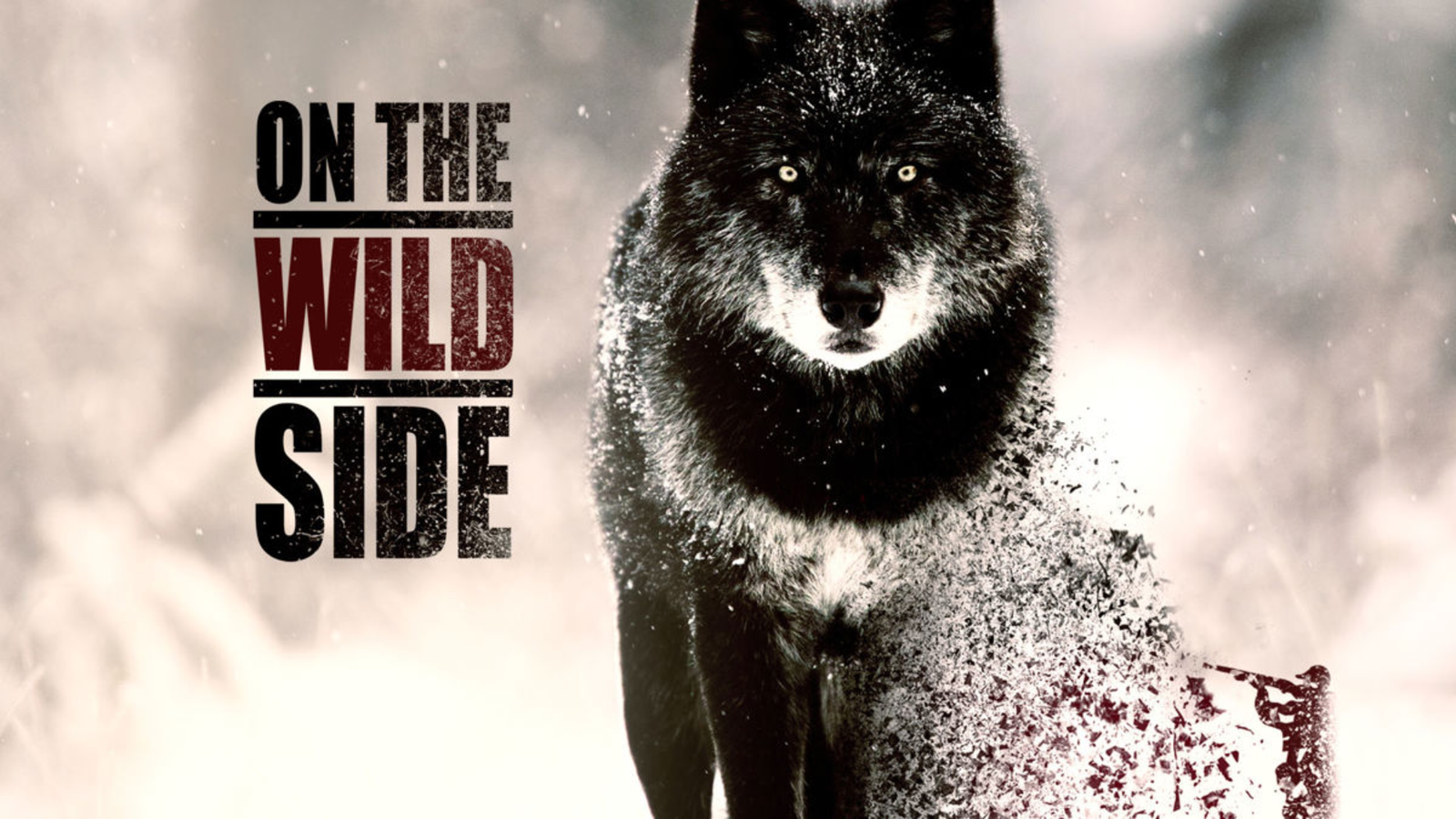 On the Wild Side