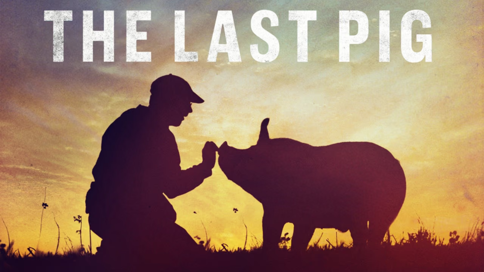 The Last Pig