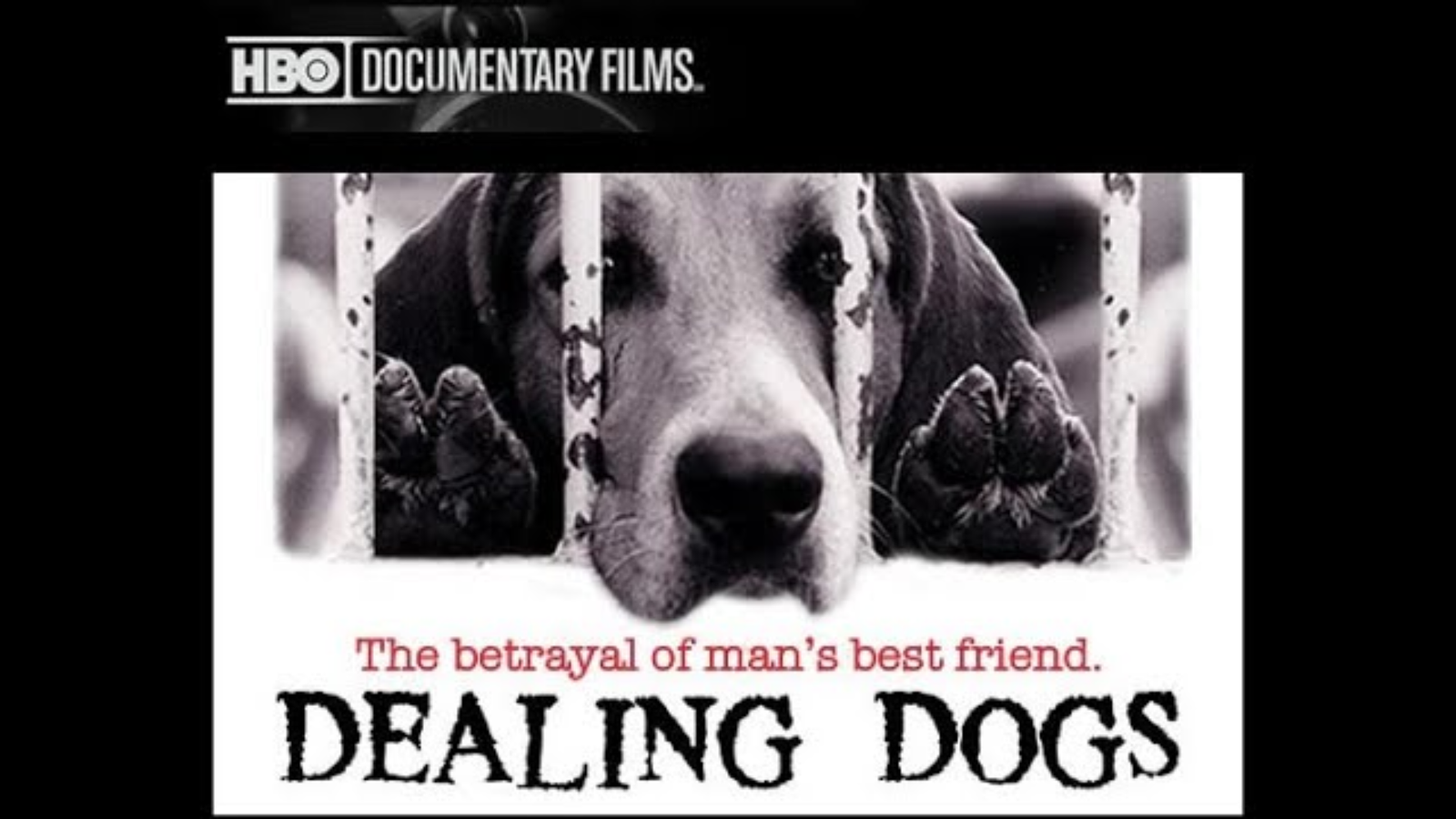 Dealing Dogs
