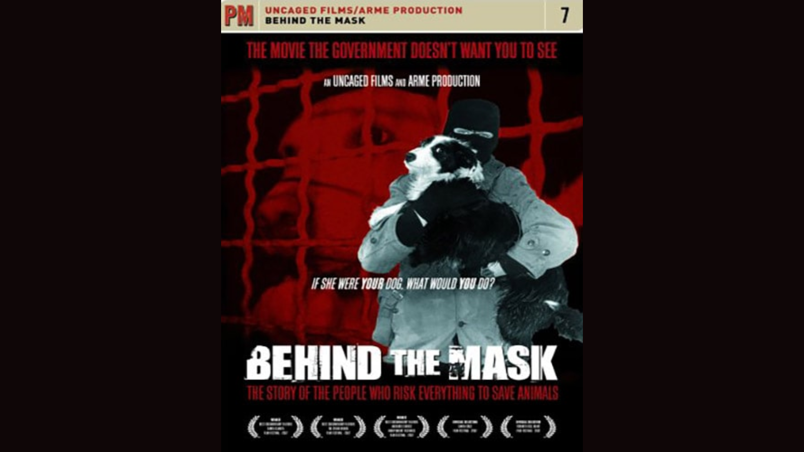 Behind the Mask